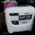 rat ice - resolve pest solutions